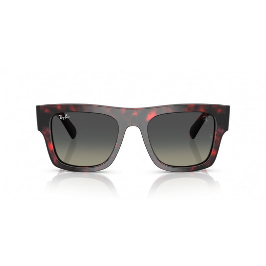 Ray-Ban 0RB2217M