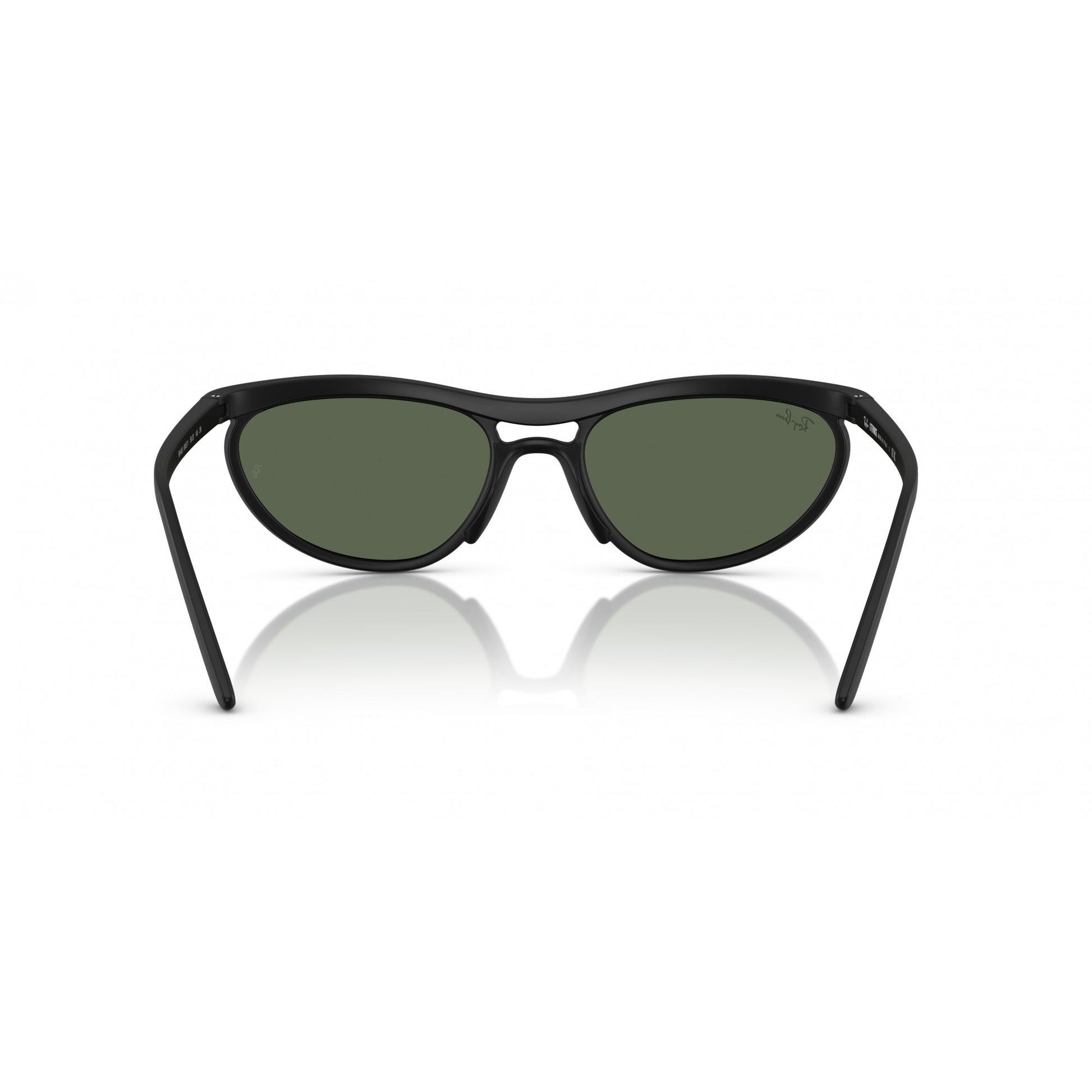 Ray-Ban 0RB4453