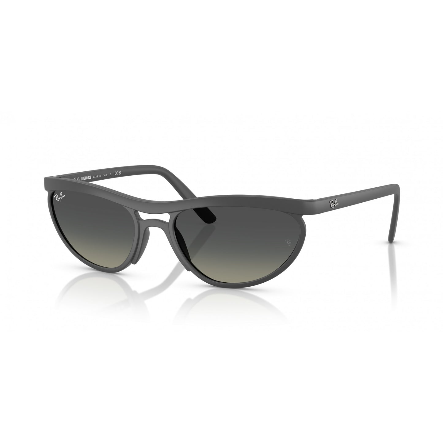 Ray-Ban 0RB4453