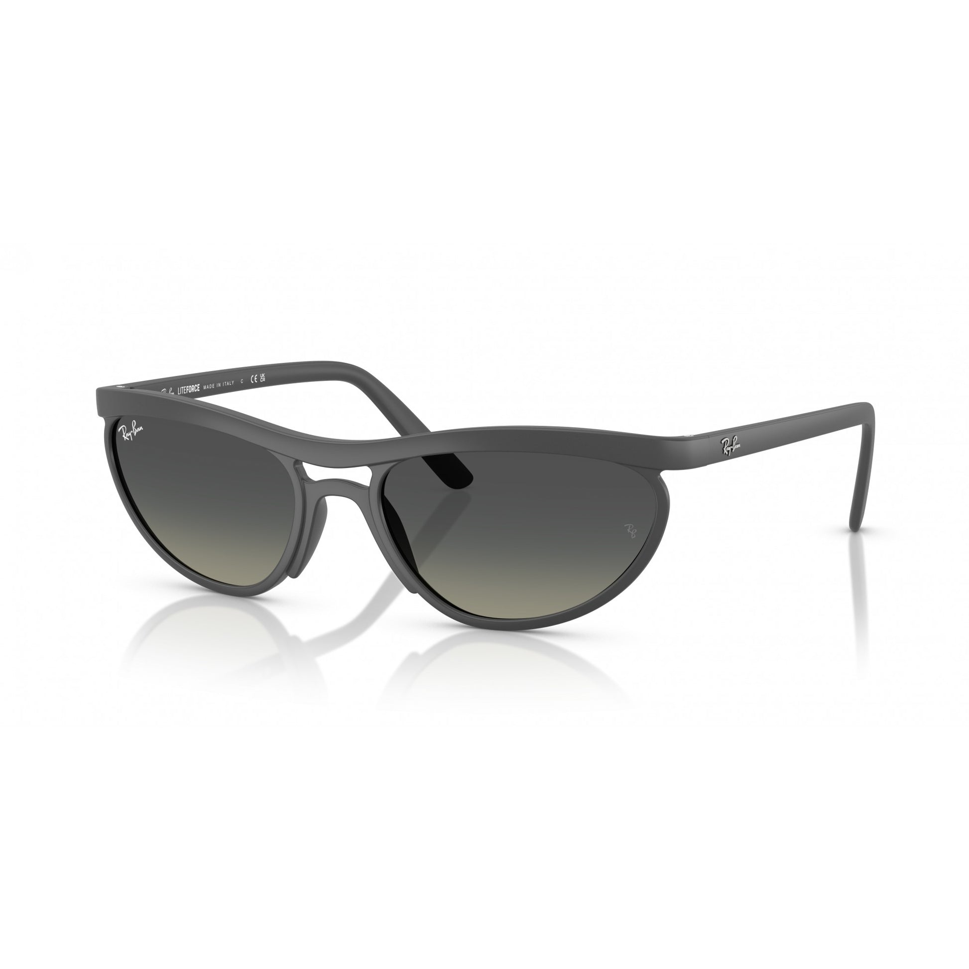 Ray-Ban 0RB4453