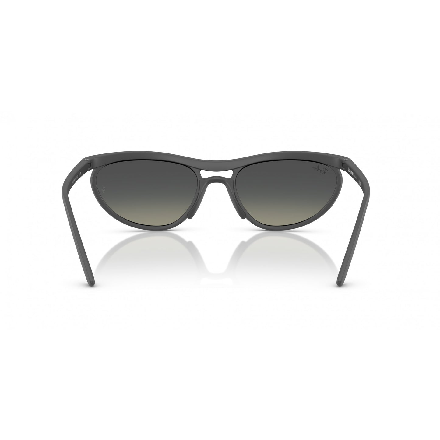 Ray-Ban 0RB4453