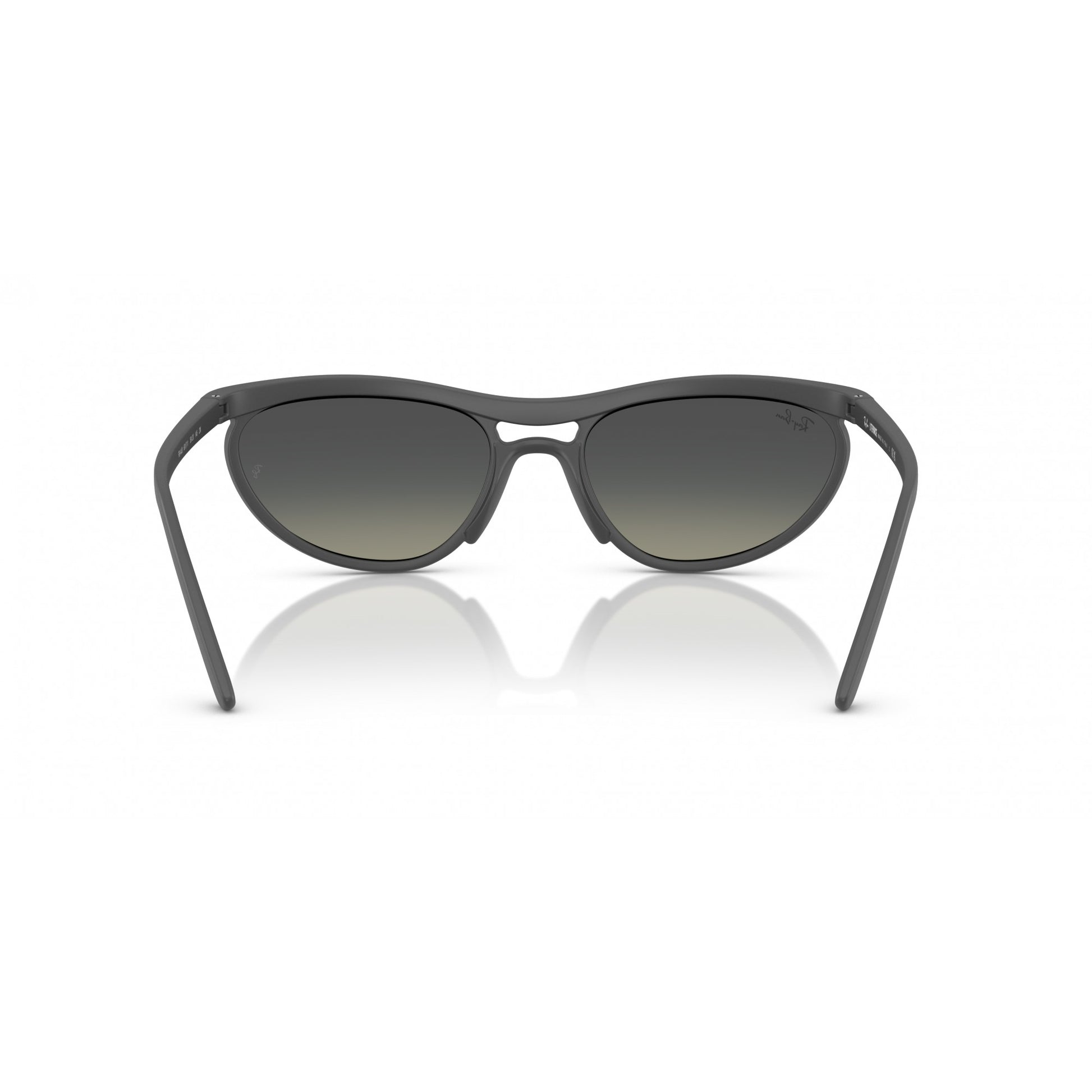 Ray-Ban 0RB4453