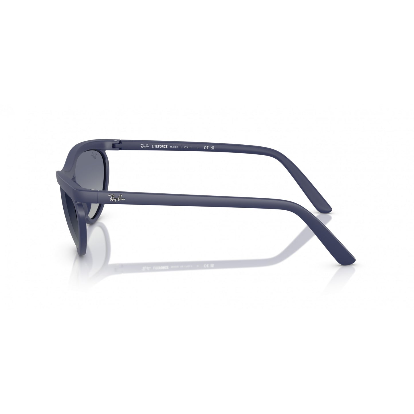 Ray-Ban 0RB4453