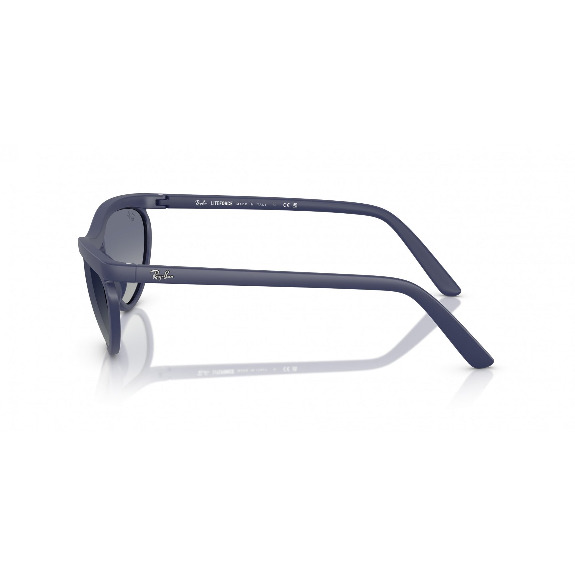 Ray-Ban 0RB4453