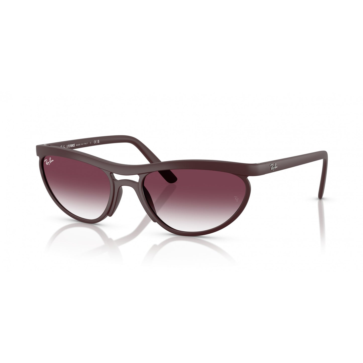 Ray-Ban 0RB4453
