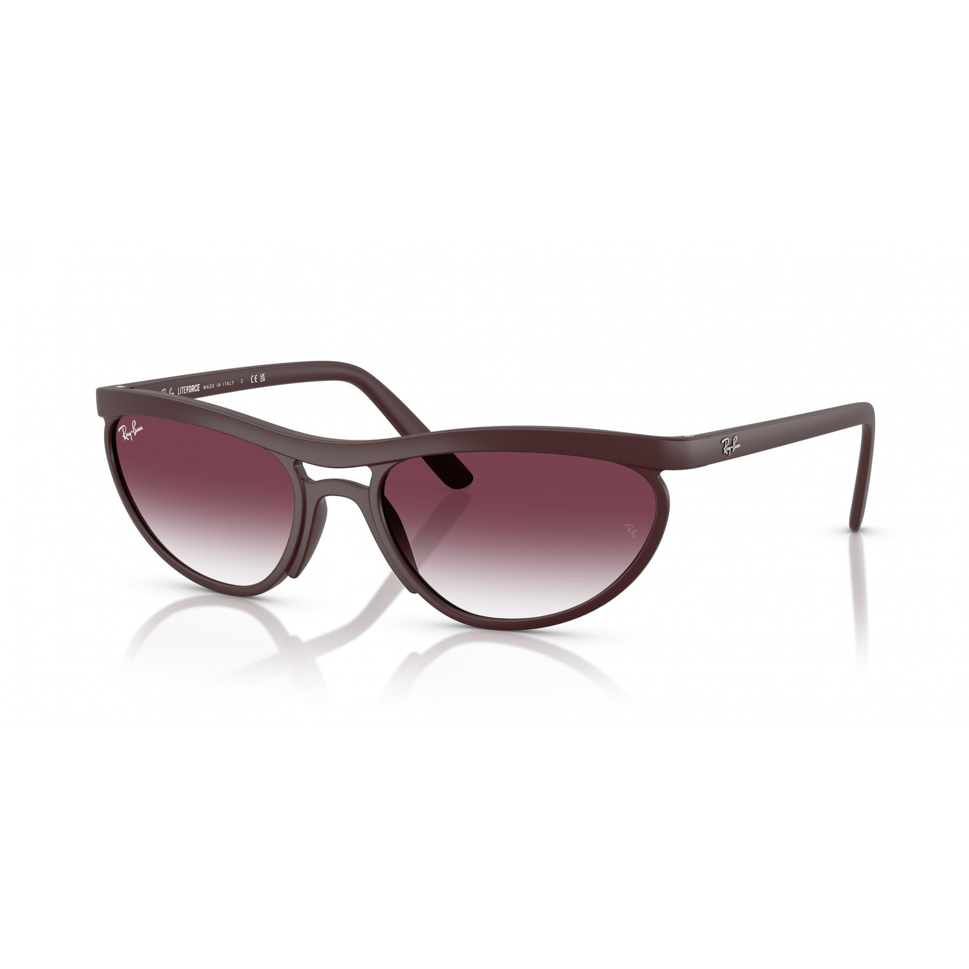 Ray-Ban 0RB4453