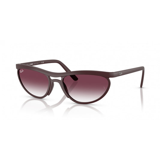 Ray-Ban 0RB4453