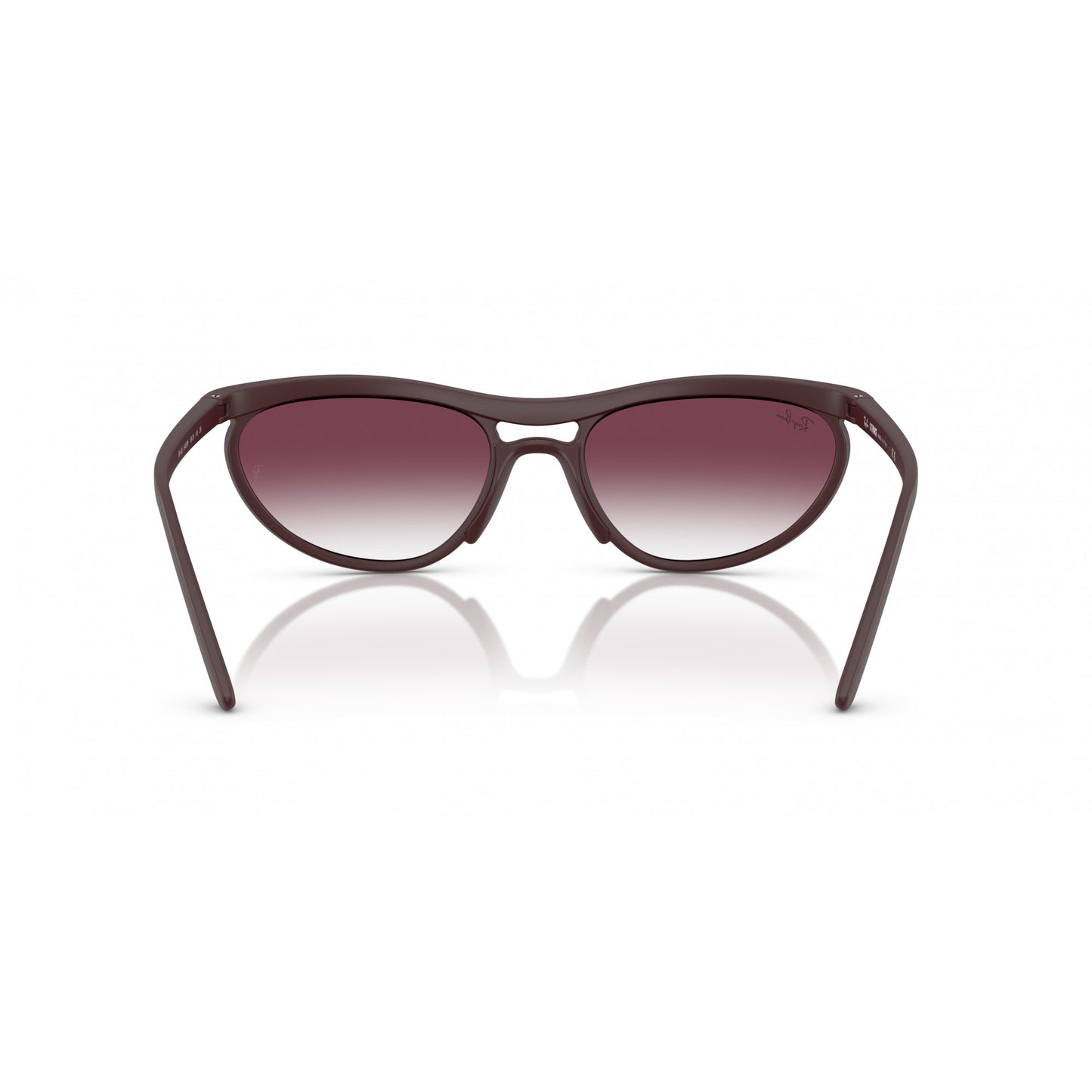 Ray-Ban 0RB4453