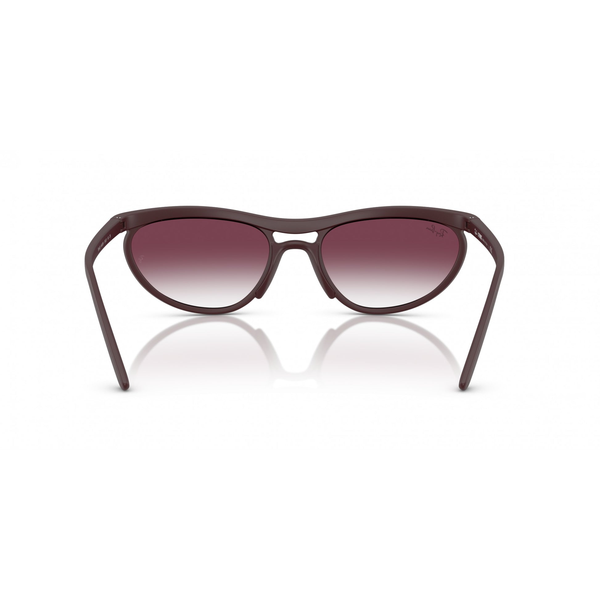 Ray-Ban 0RB4453