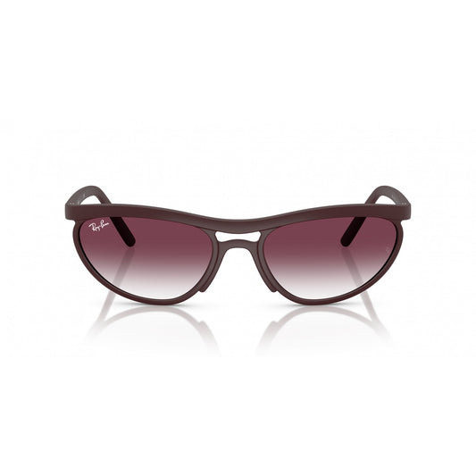 Ray-Ban 0RB4453