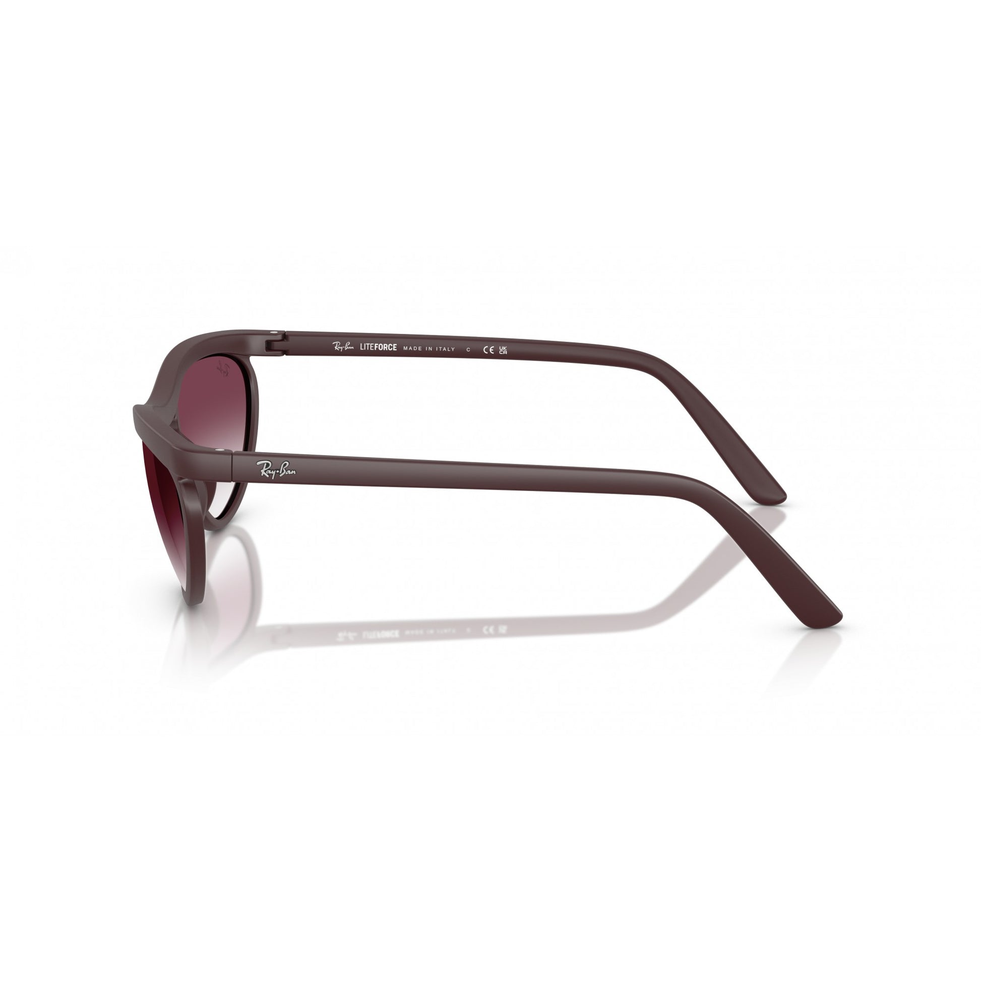 Ray-Ban 0RB4453
