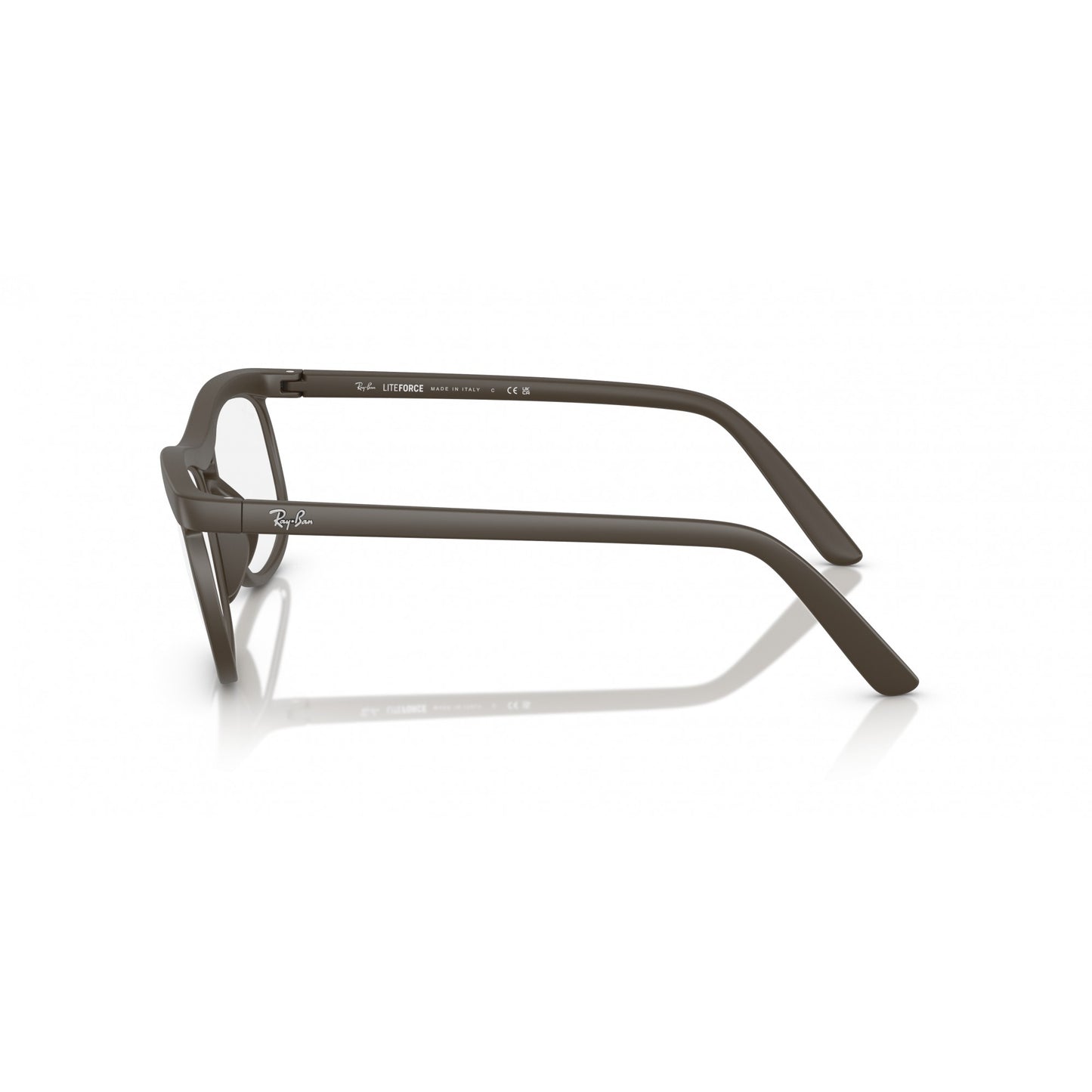 Ray-Ban 0RX7254