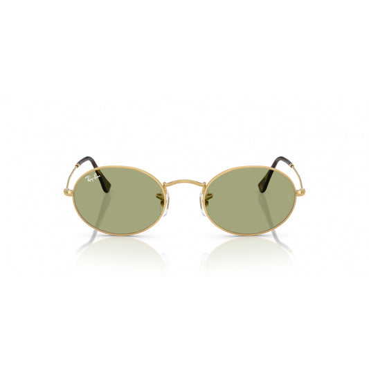 Ray-Ban 0RB3547