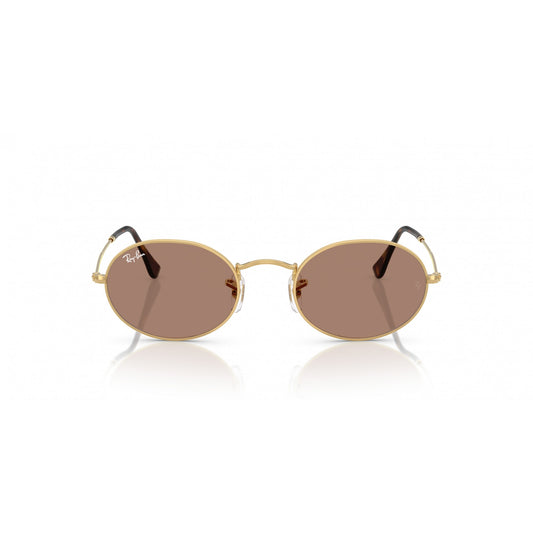 Ray-Ban 0RB3547