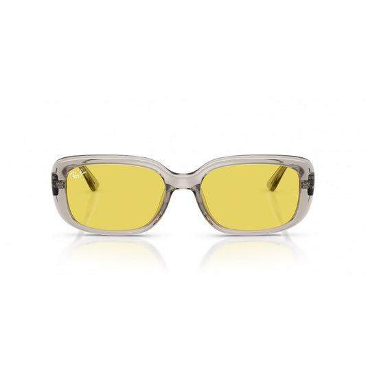Ray-Ban 0RB4421D