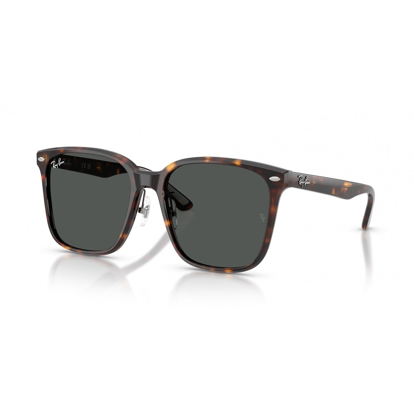 Ray-Ban 0RB2206D