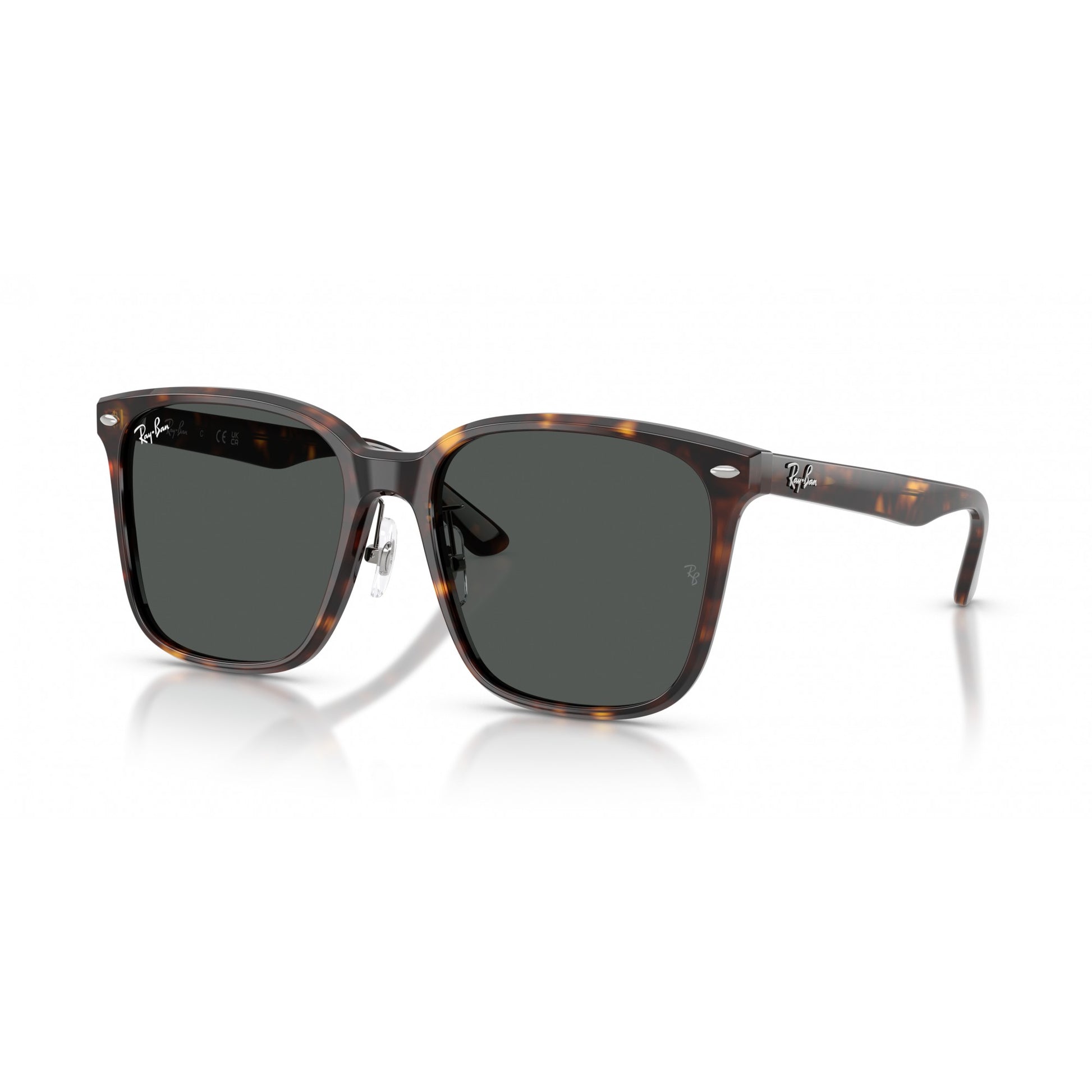 Ray-Ban 0RB2206D