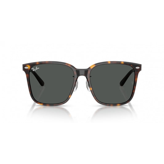 Ray-Ban 0RB2206D
