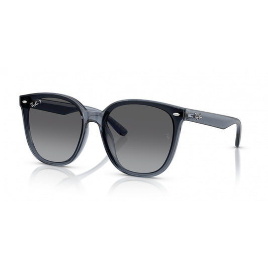 Ray-Ban 0RB4423D