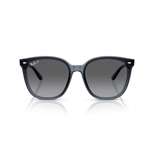 Ray-Ban 0RB4423D