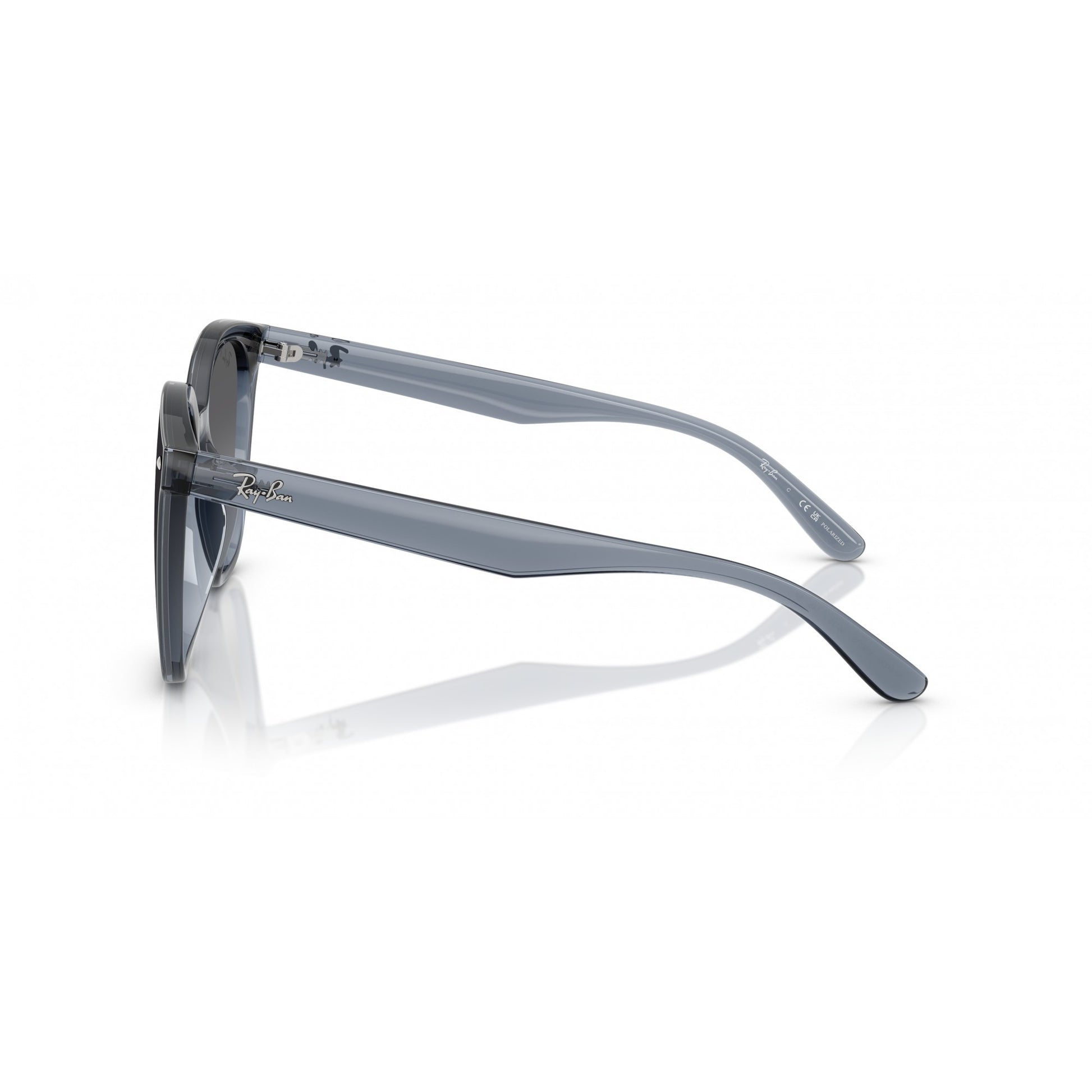 Ray-Ban 0RB4423D