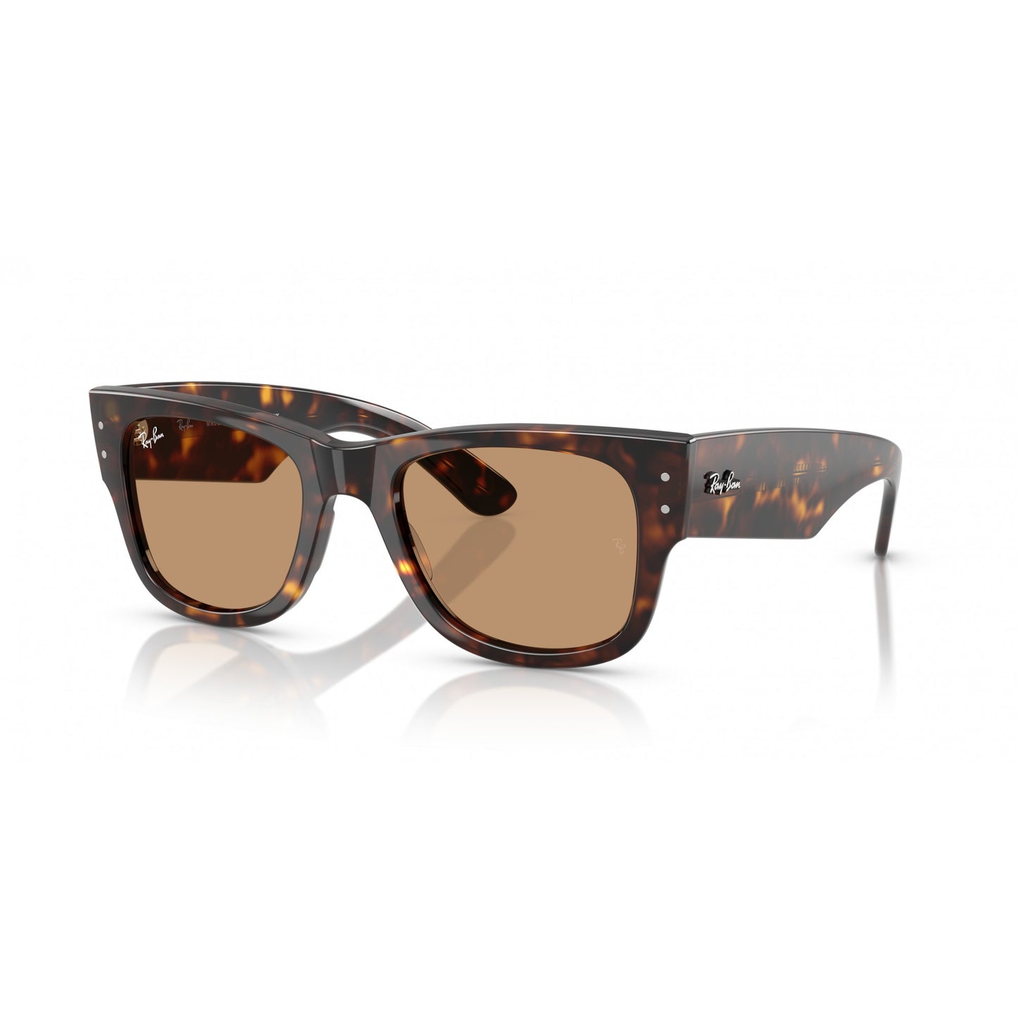 Ray-Ban 0RB0840S