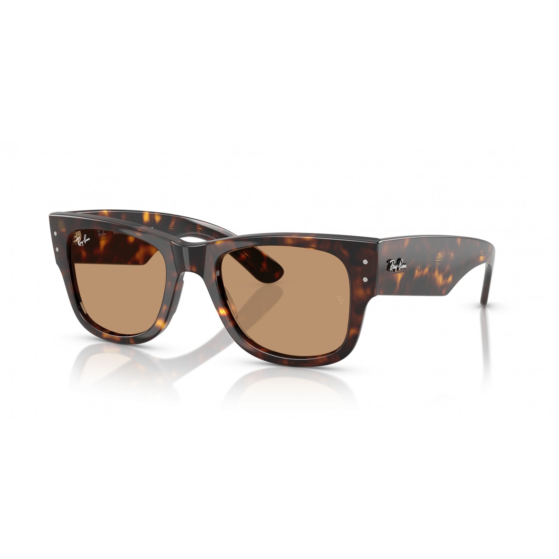 Ray-Ban 0RB0840S