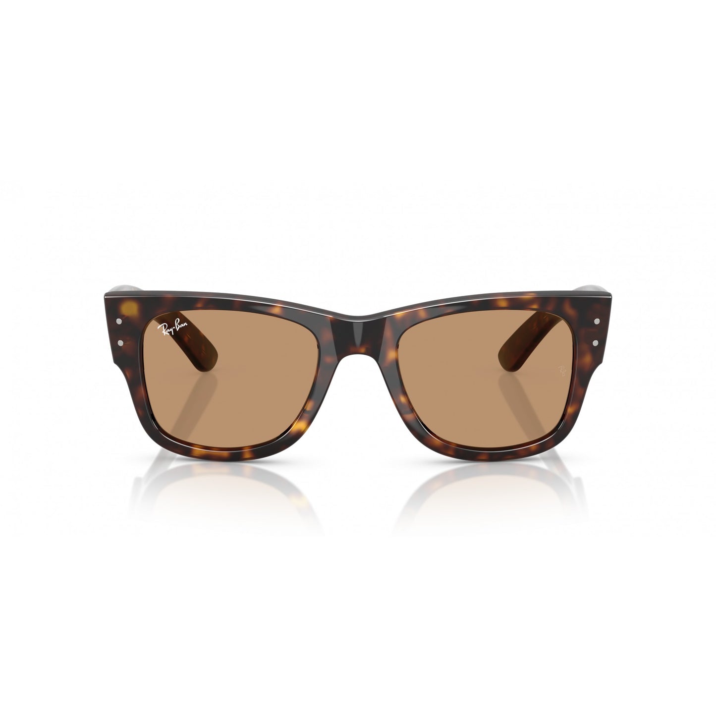 Ray-Ban 0RB0840S