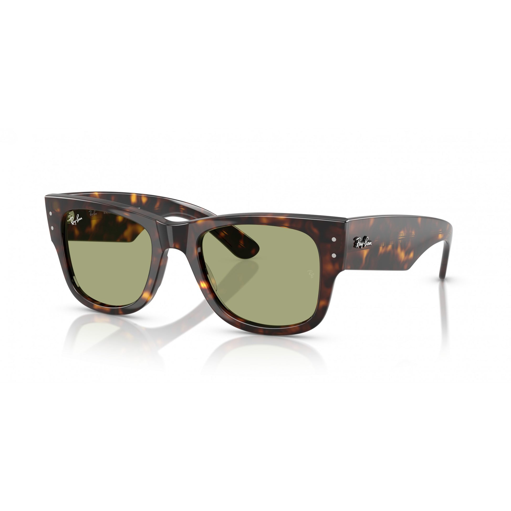 Ray-Ban 0RB0840S