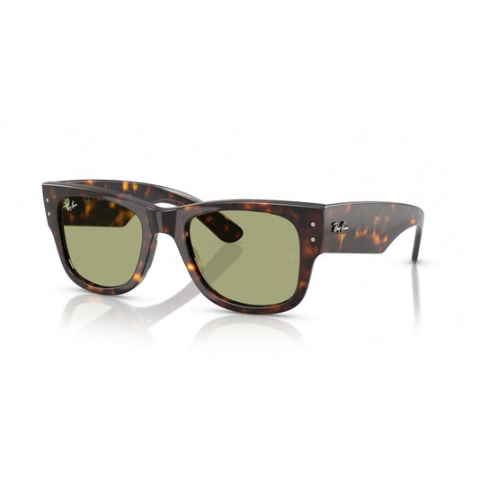 Ray-Ban 0RB0840S