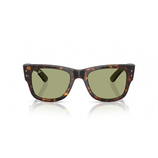 Ray-Ban 0RB0840S
