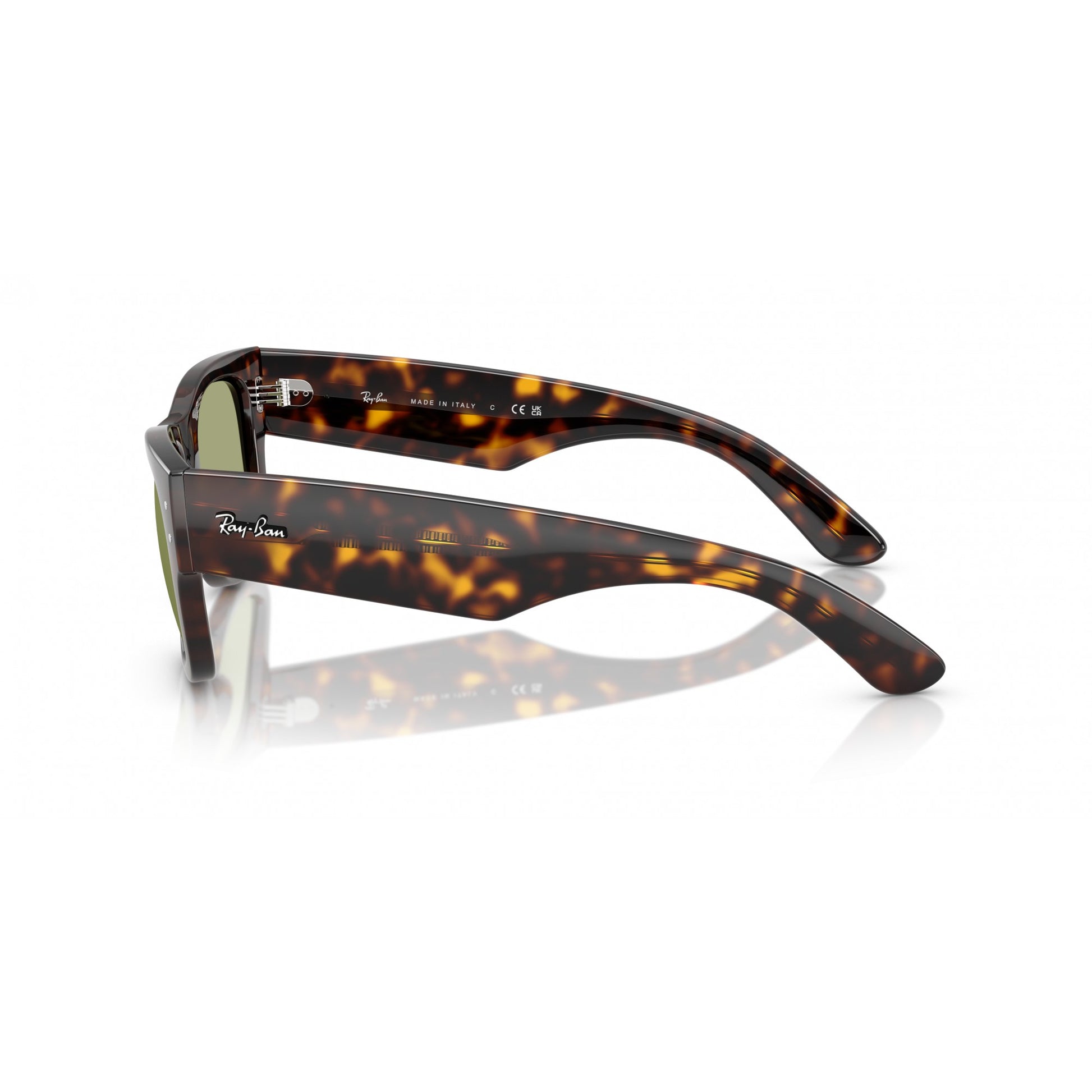 Ray-Ban 0RB0840S
