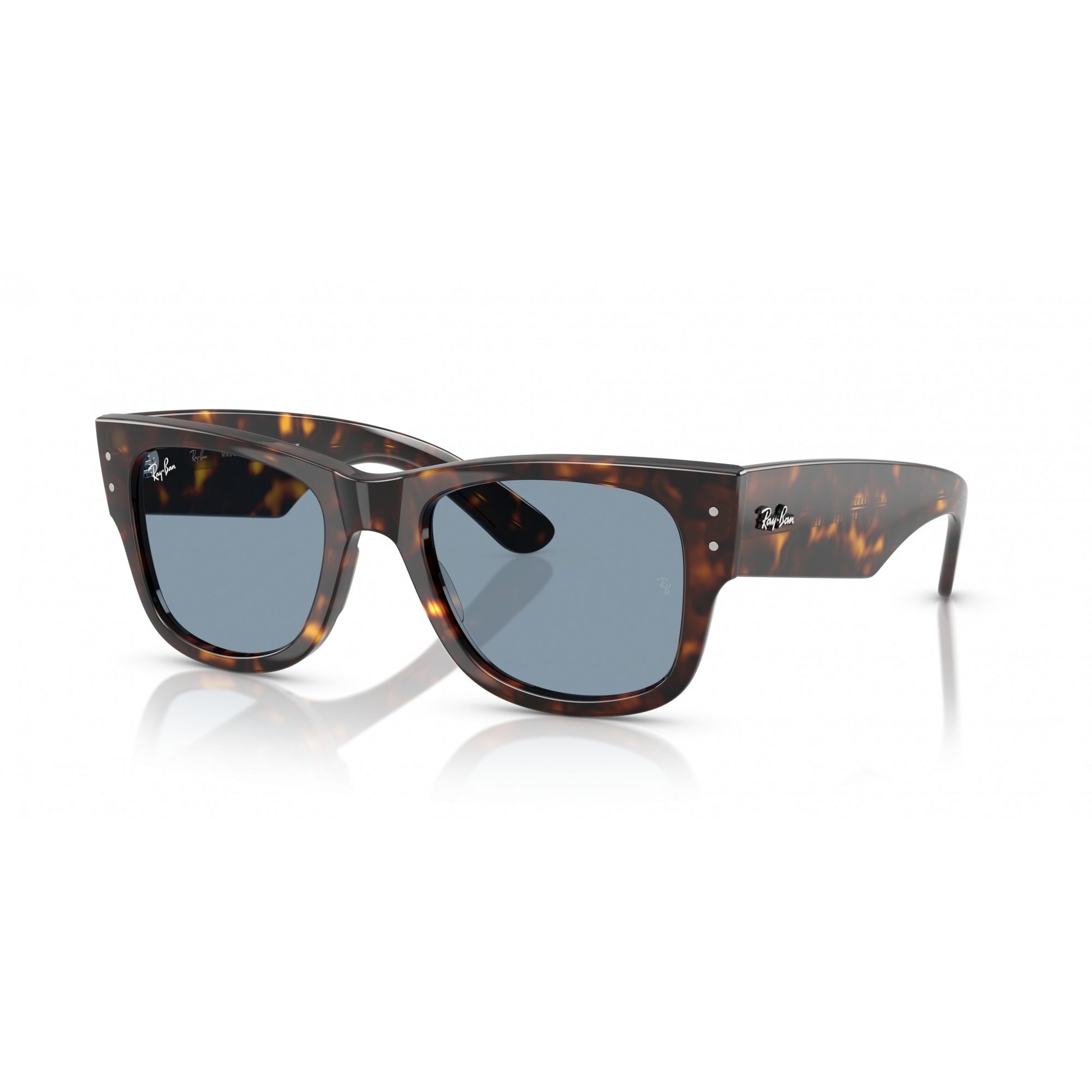 Ray-Ban 0RB0840S