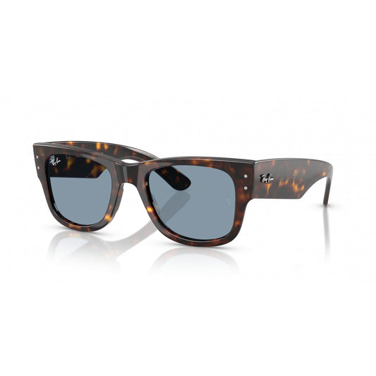 Ray-Ban 0RB0840S