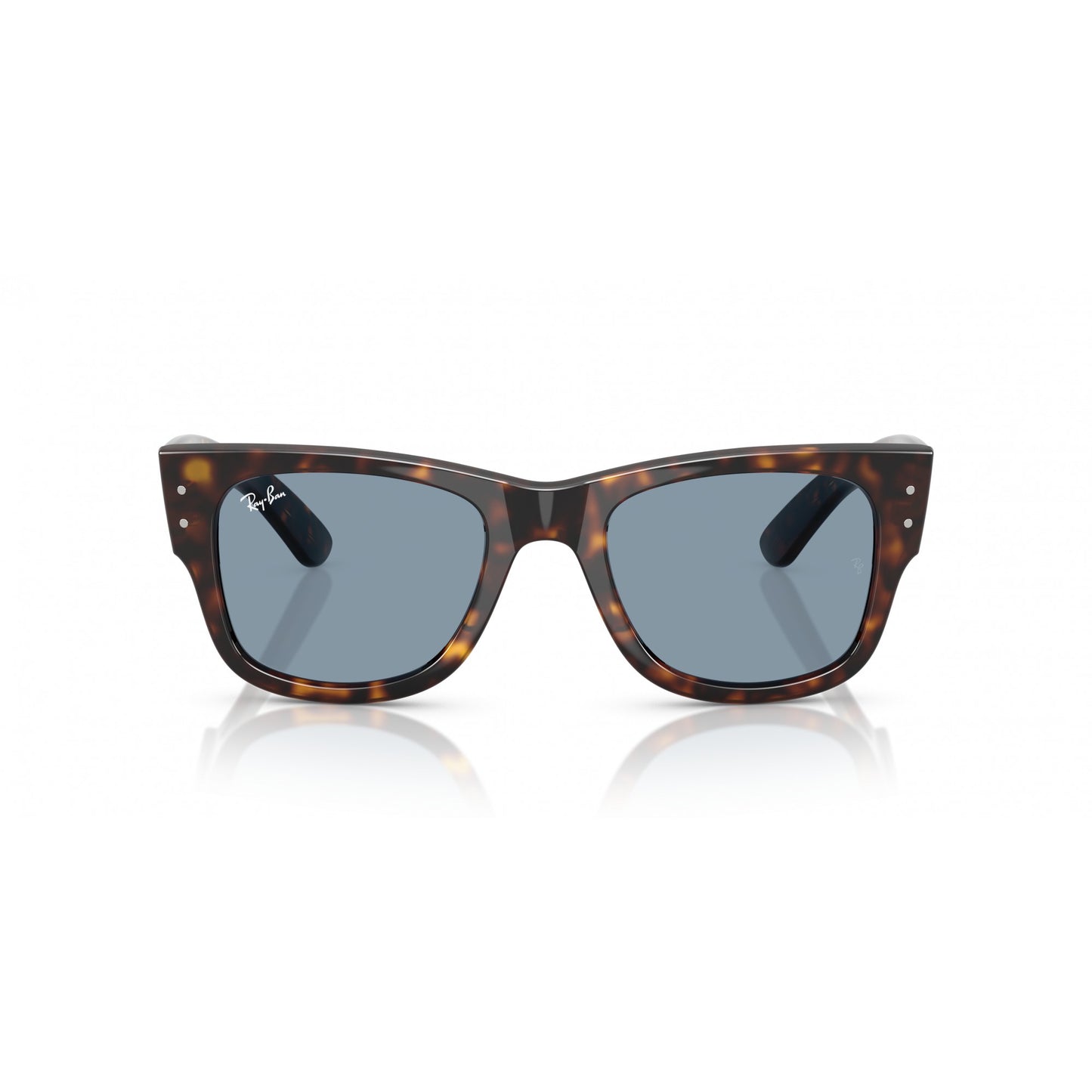 Ray-Ban 0RB0840S