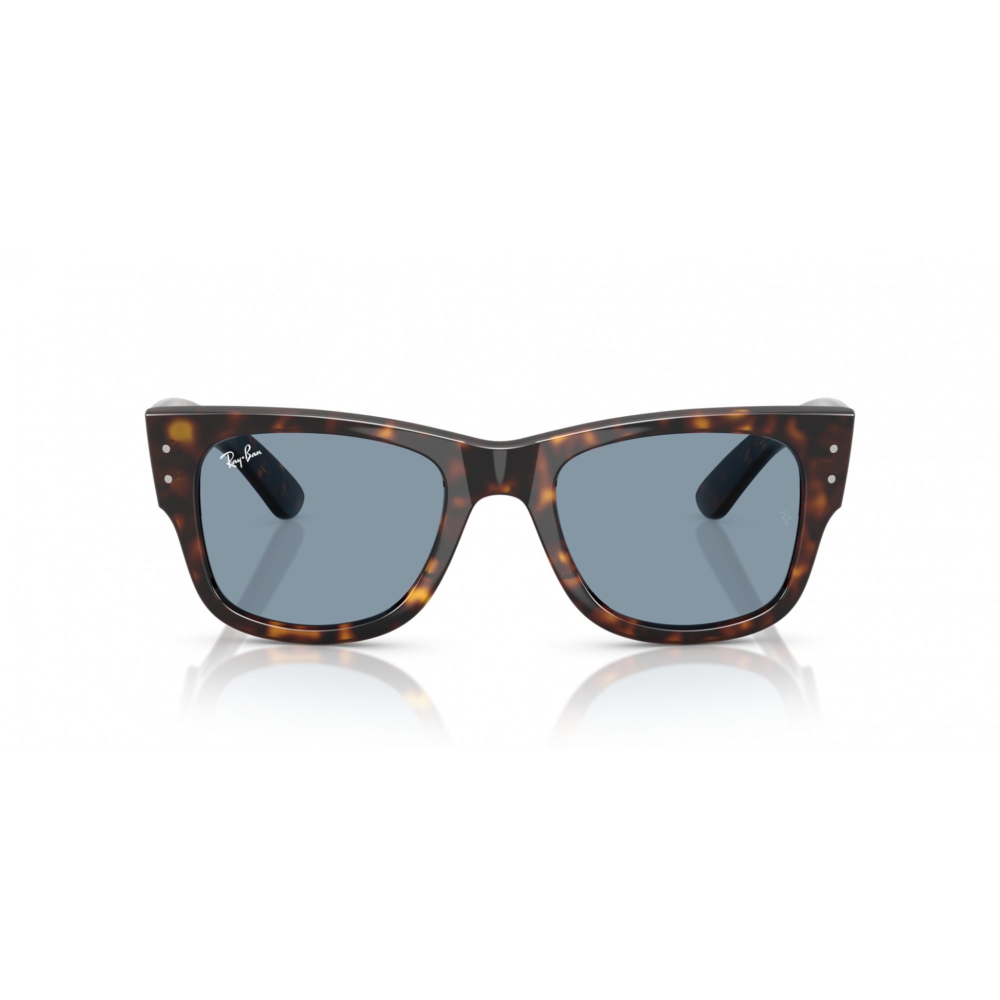 Ray-Ban 0RB0840S