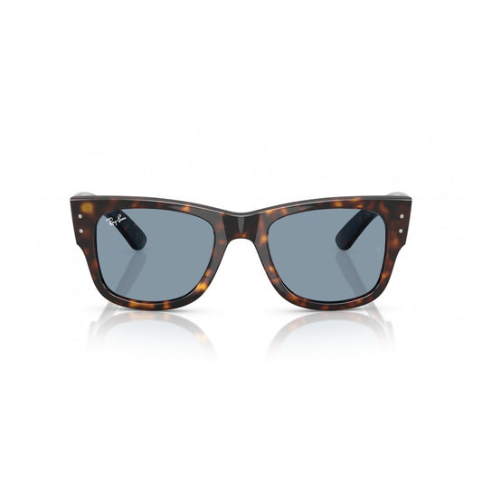 Ray-Ban 0RB0840S