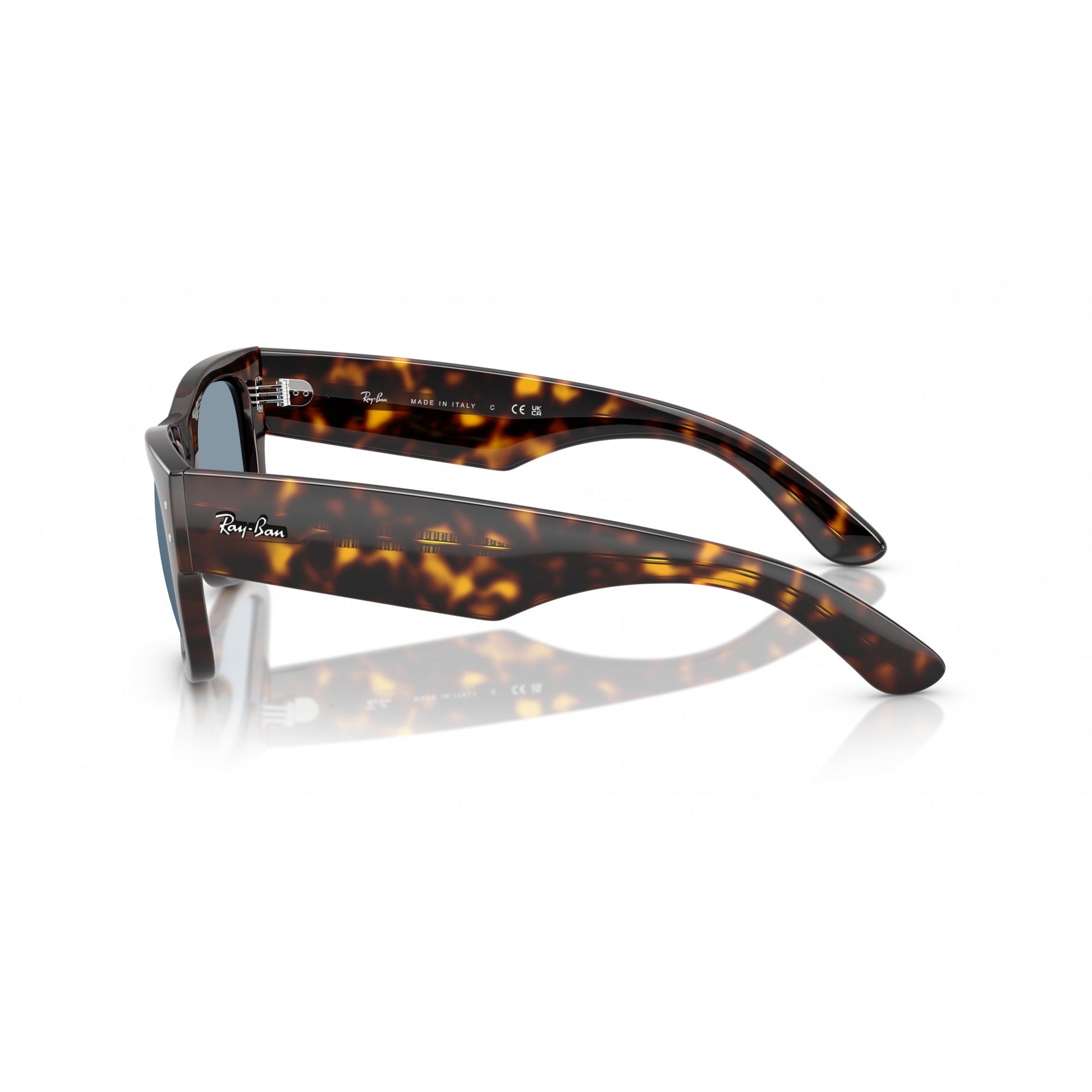Ray-Ban 0RB0840S