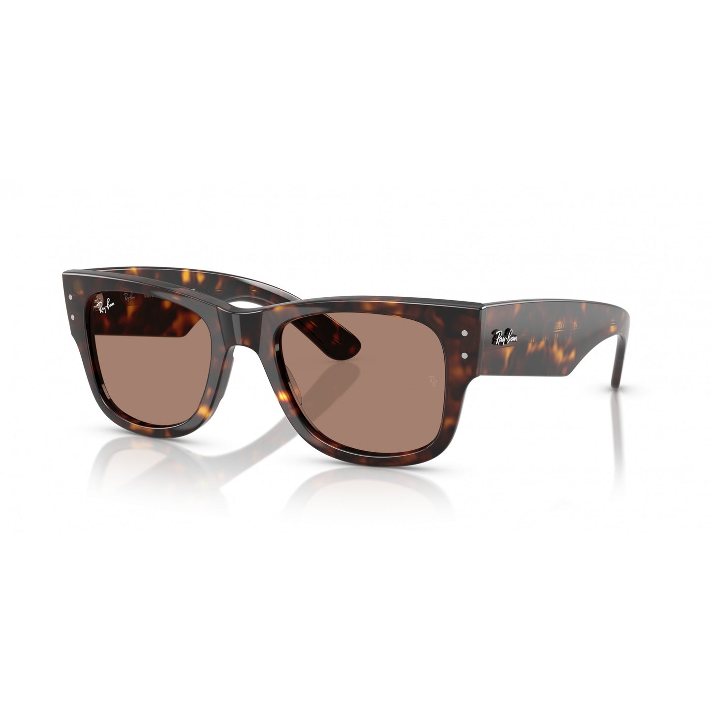 Ray-Ban 0RB0840S