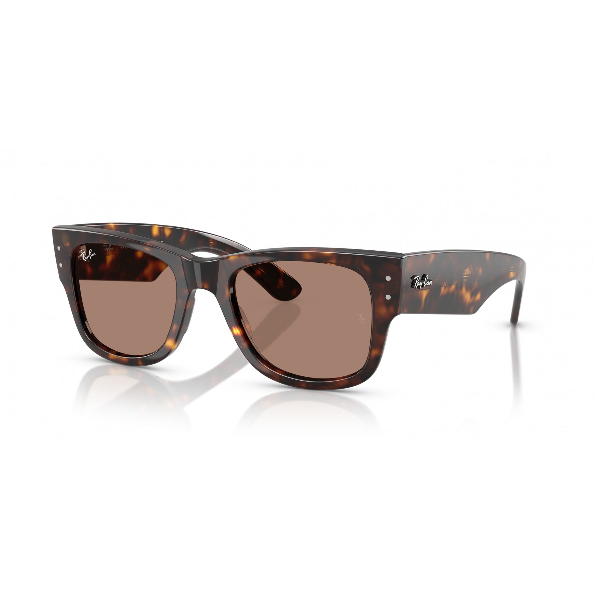 Ray-Ban 0RB0840S