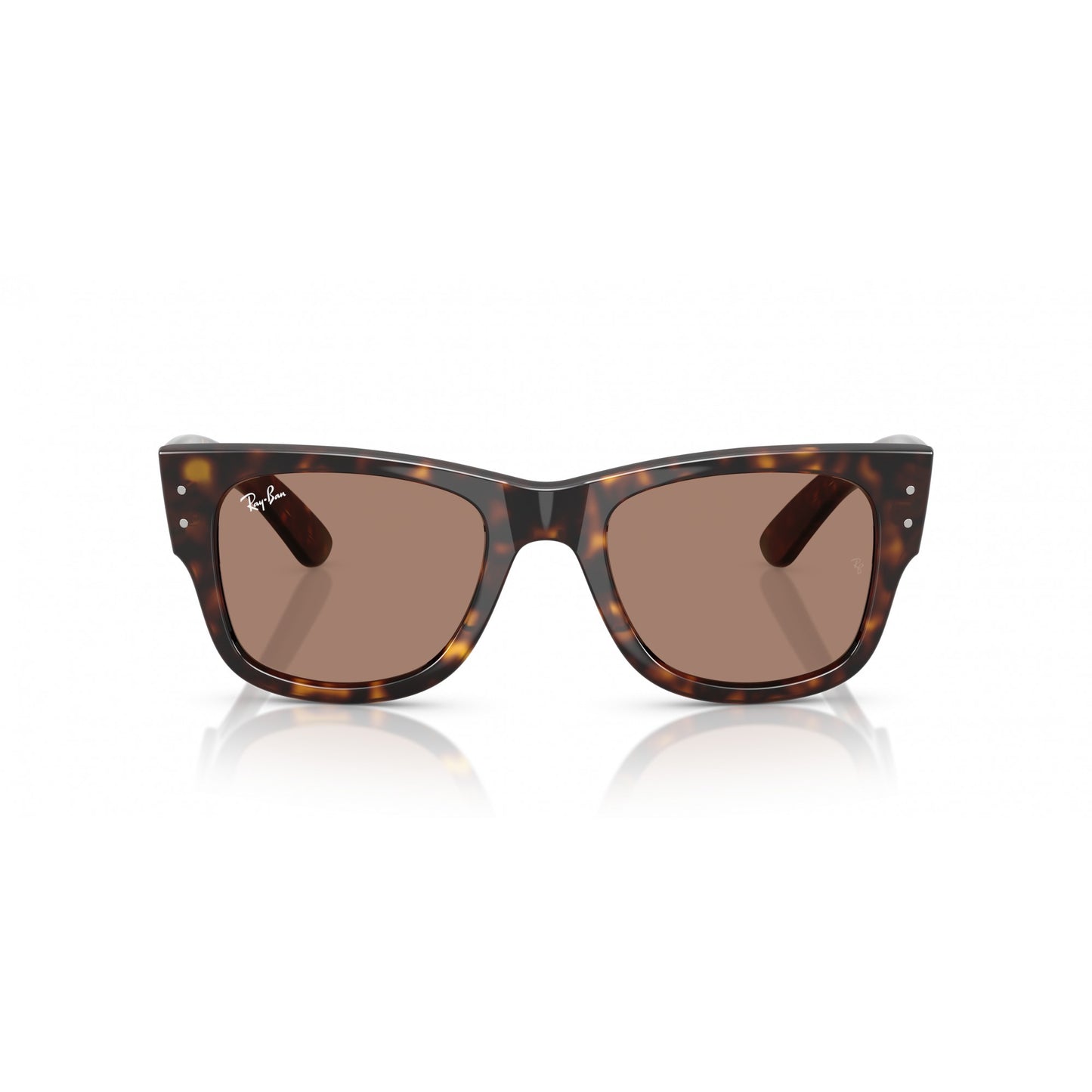 Ray-Ban 0RB0840S