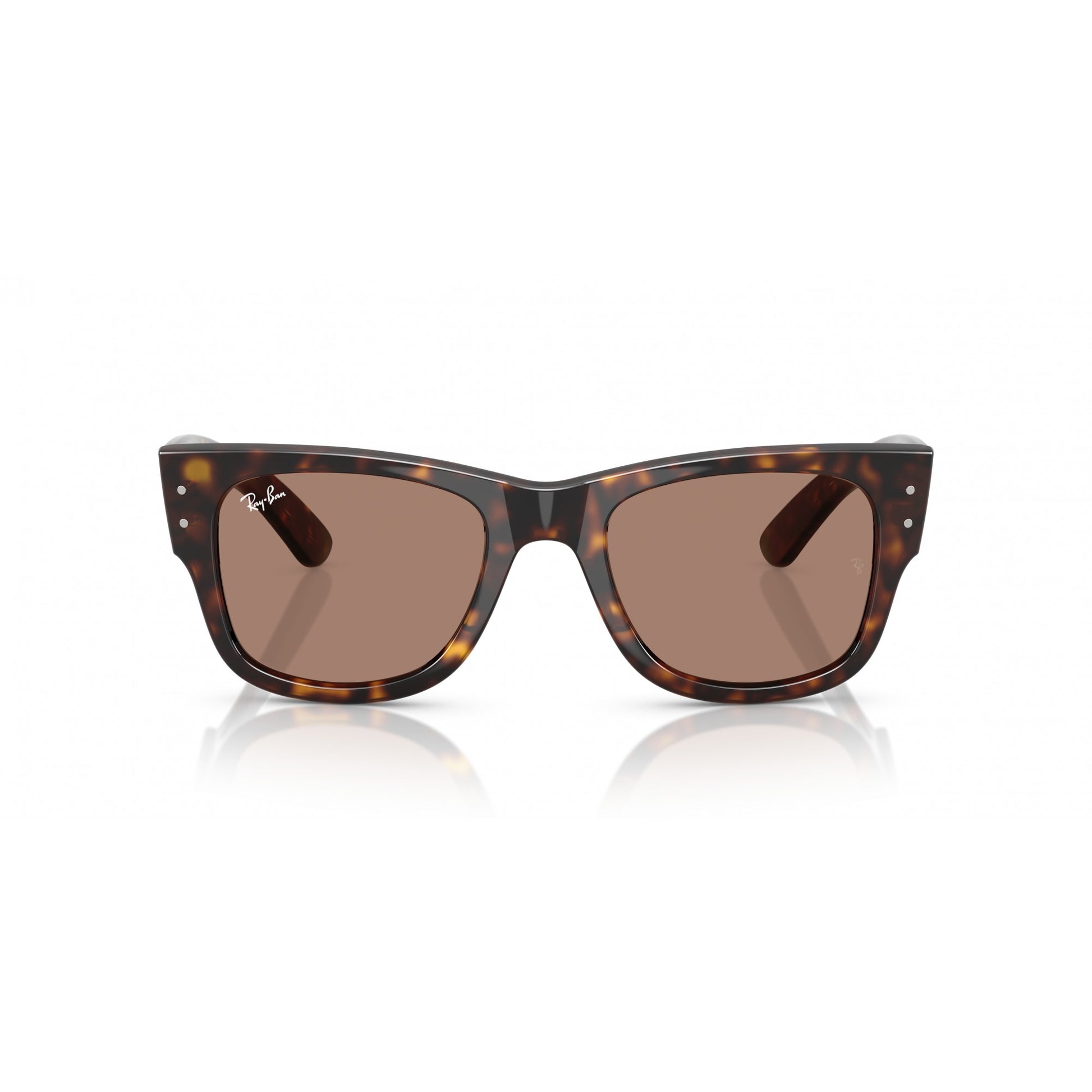Ray-Ban 0RB0840S