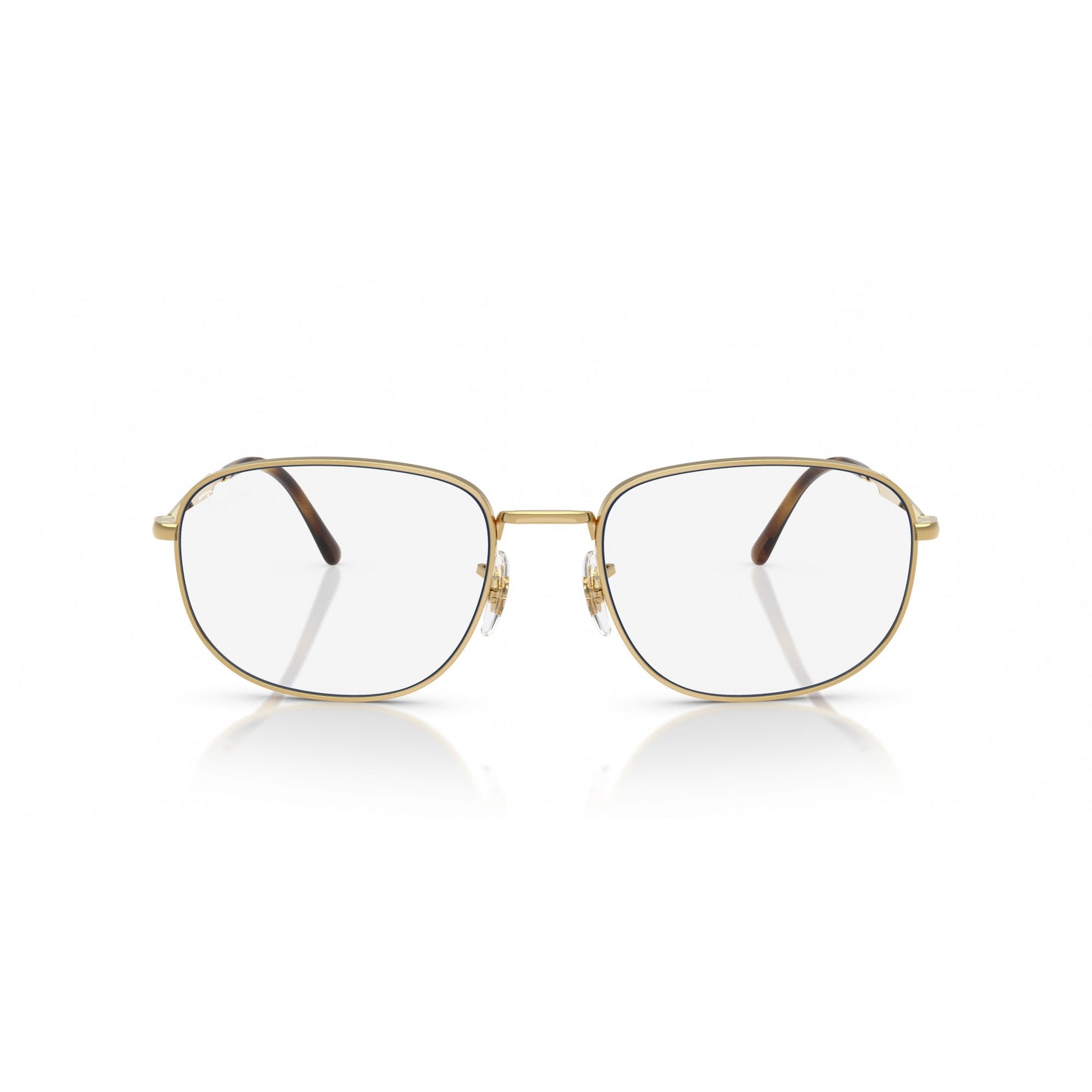 Ray-Ban 0RB3754
