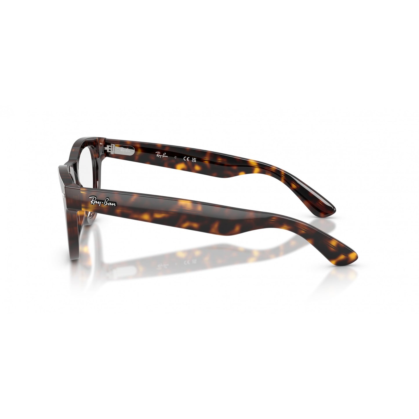 Ray-Ban 0RX5510