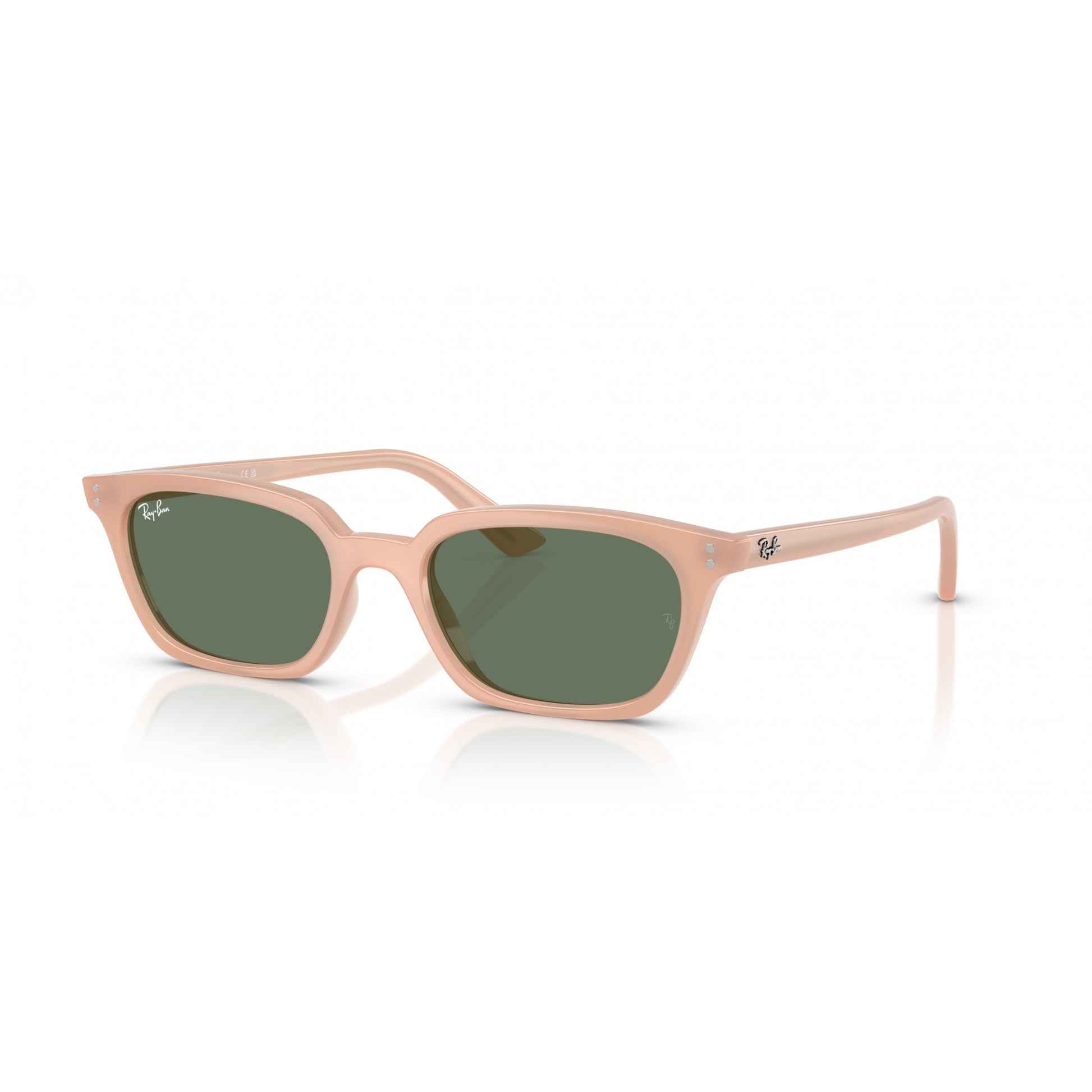 Ray-Ban 0RB4456