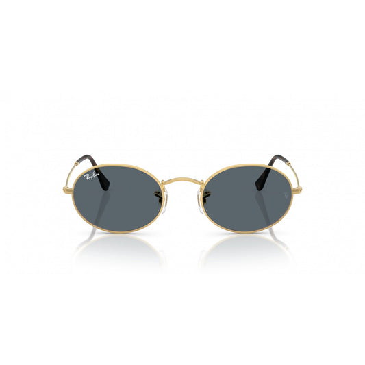 Ray-Ban 0RB3547N