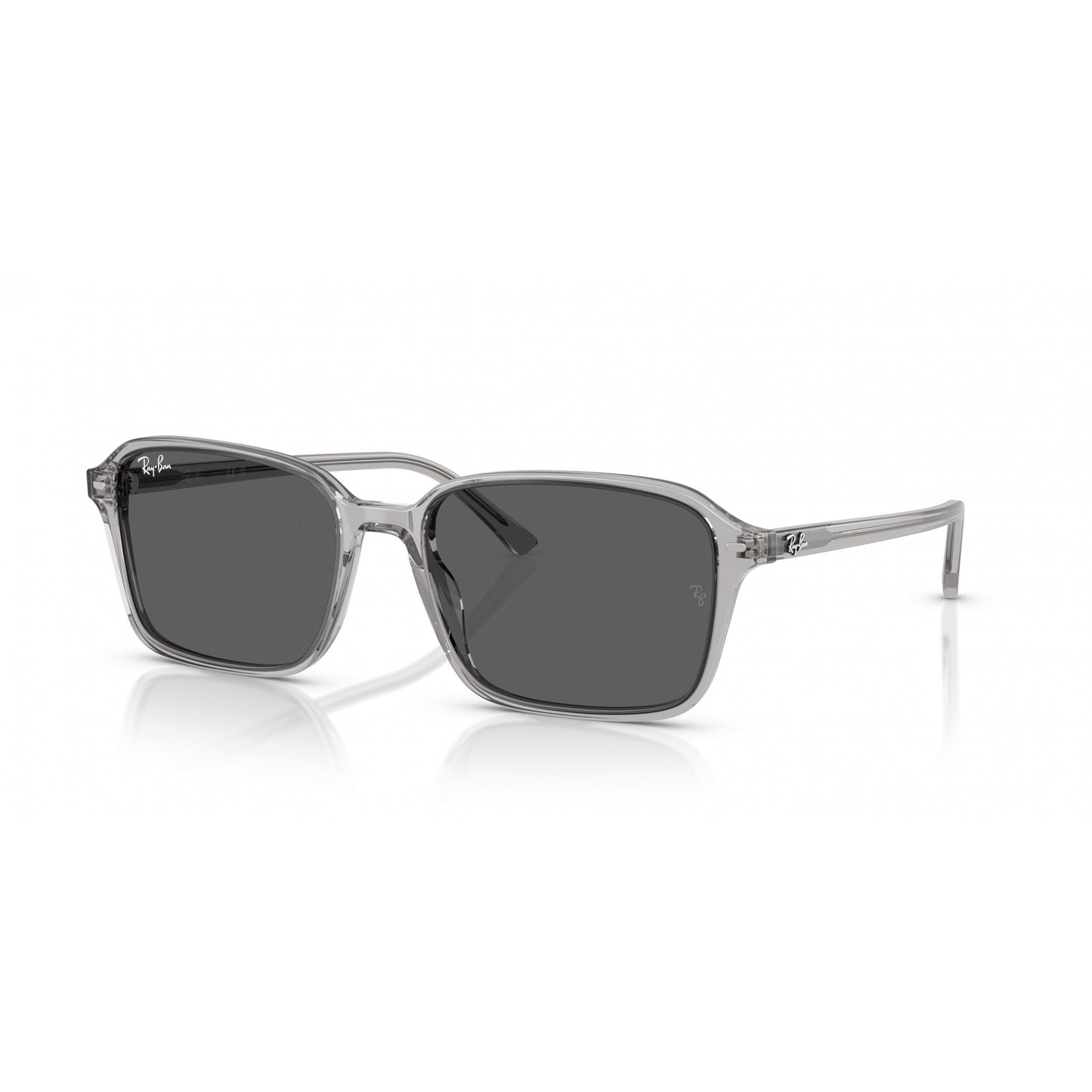 Ray-Ban 0RB2231