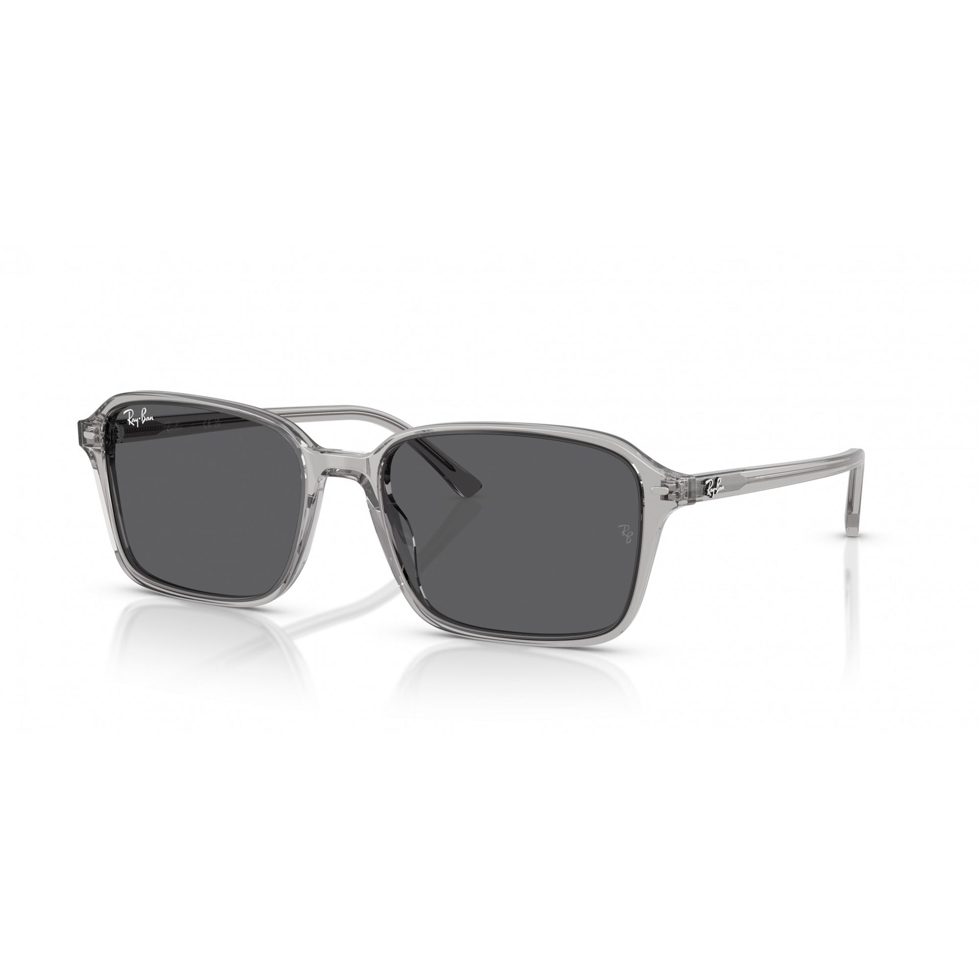 Ray-Ban 0RB2231