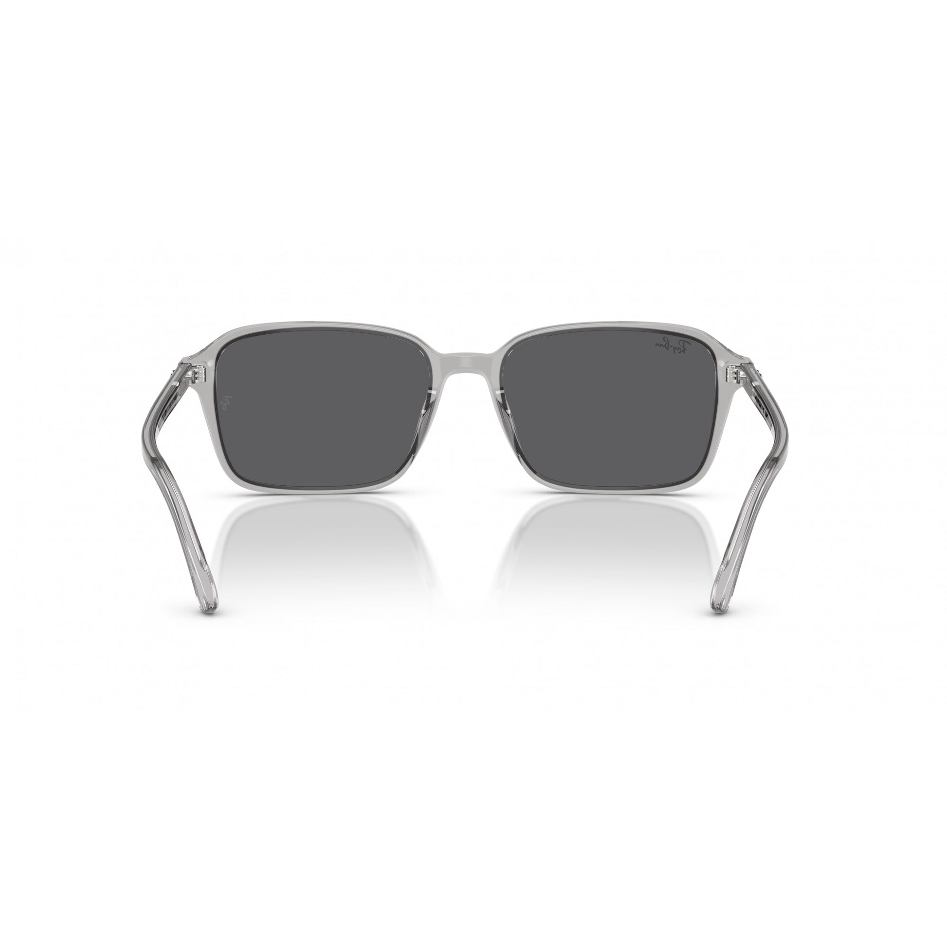 Ray-Ban 0RB2231