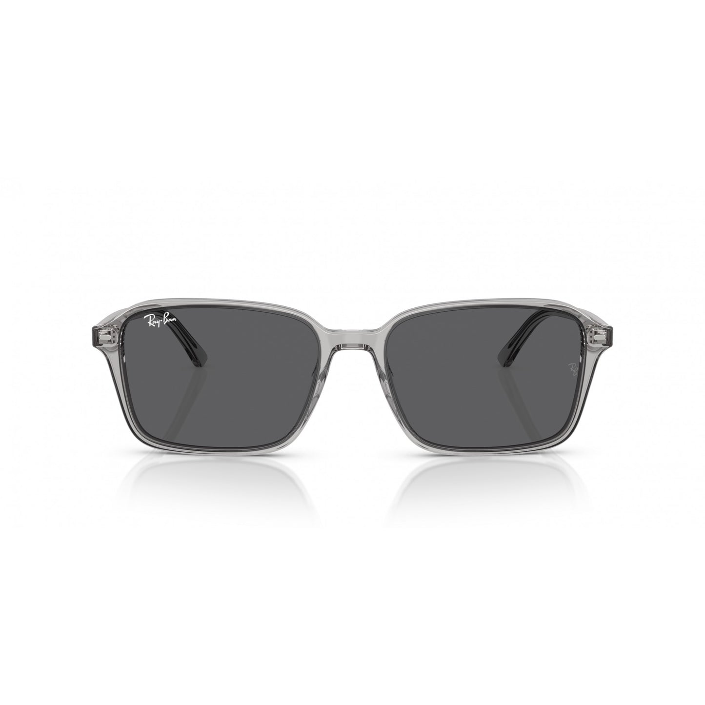 Ray-Ban 0RB2231